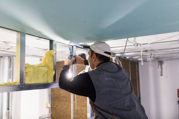 Best Types of Insulation in Cascade Chipita Park, CO
